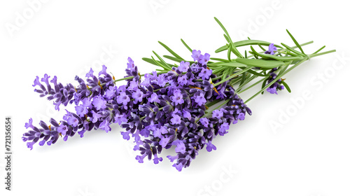 Fragrant lavender on white isolated background