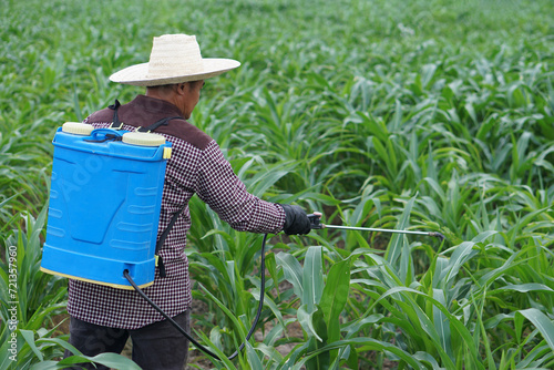 Obraz na płótnie Asian man farmer carries blue sprayer on back to spray organic fertilizers in maize garden