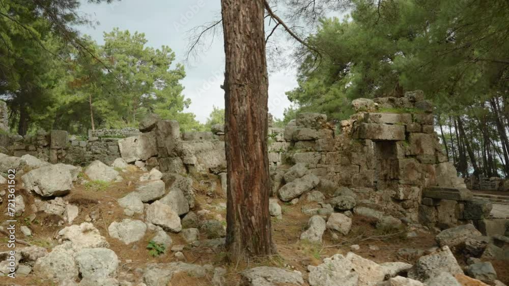 A stroll among the ruins and dilapidated ancient Greek houses overgrown in a pine forest. The ancient Lycian city of Phaselis. A stroll among the ruins and dilapidated ancient Greek houses overgrown in a pine forest. The ancient Lycian city of Phaselis.