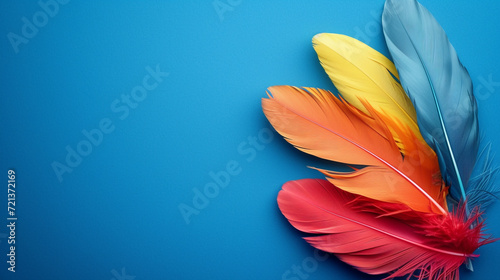 Vibrant colored beautiful bird feathers. Isolated on a toned bright-colored background.