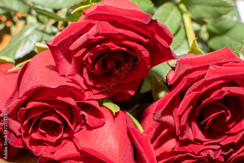 Closeup view of a bouquet of roses 