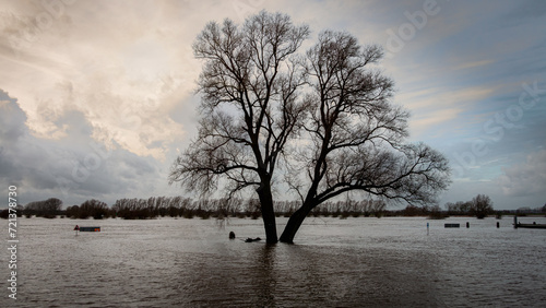 The flooded floodplains and the many hiking trails during weeks of heavy downpour, near the rain river IJssel in the province of Overijssel, the Netherlands