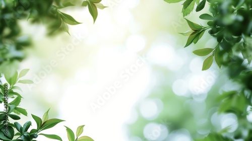 Lush Greenery and Light Patterns: Vibrant Leaves with Open Space for Text or Logo