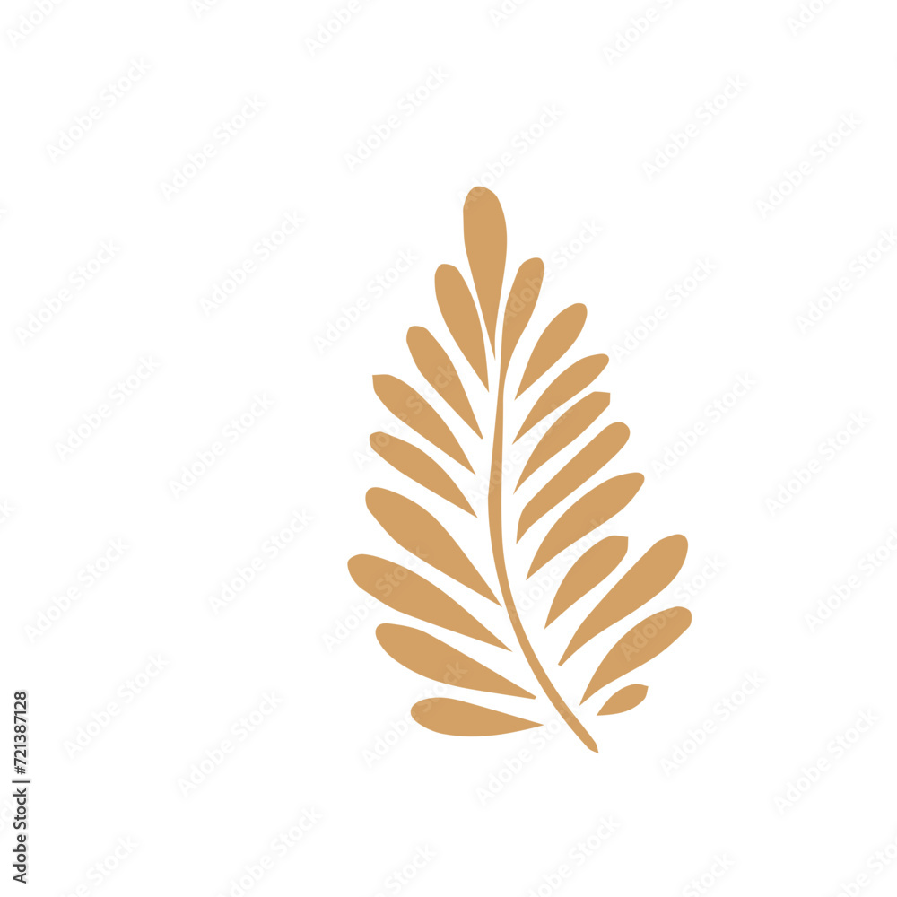 Fototapeta premium Flourish design elements set element vector