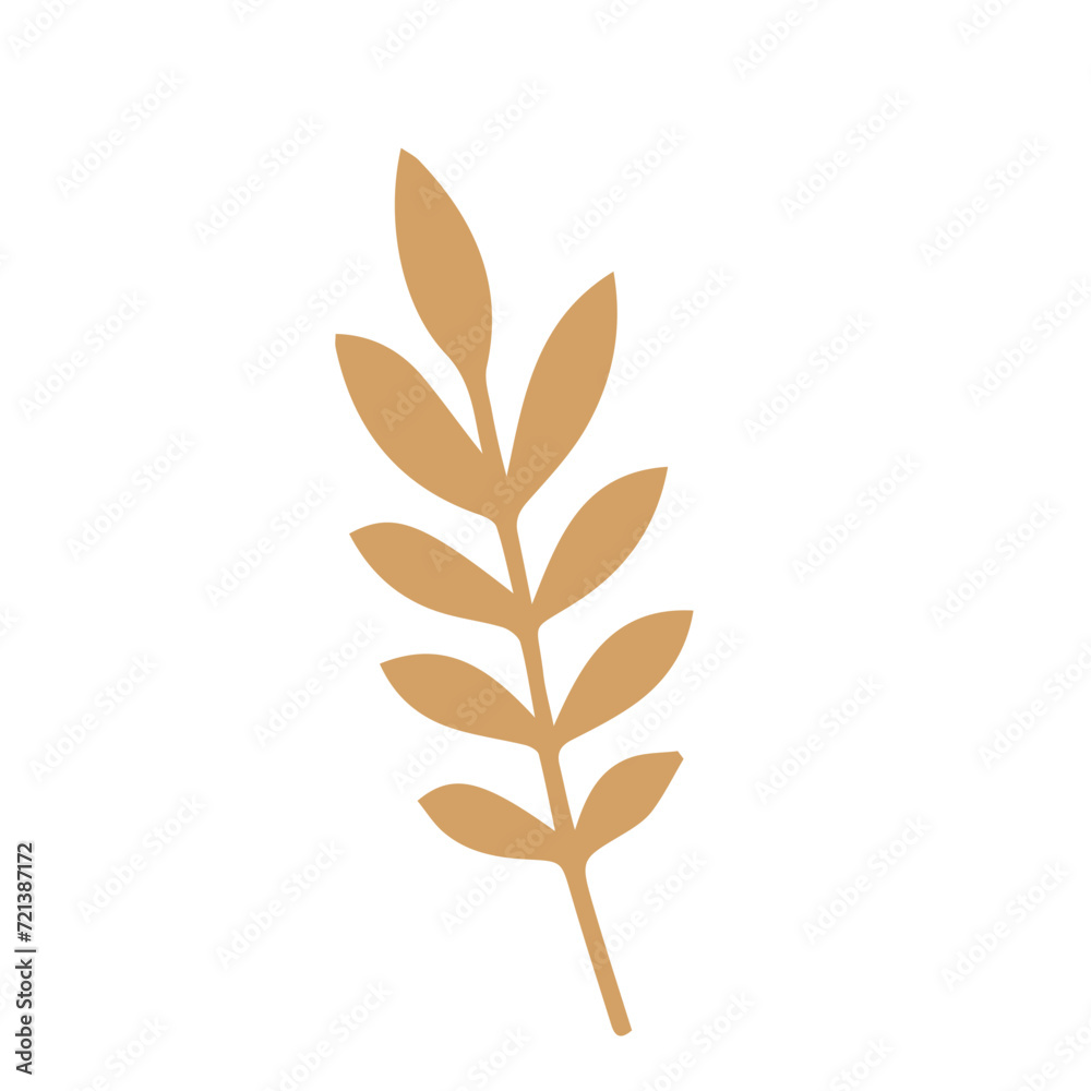 Fototapeta premium Flourish design elements set element vector