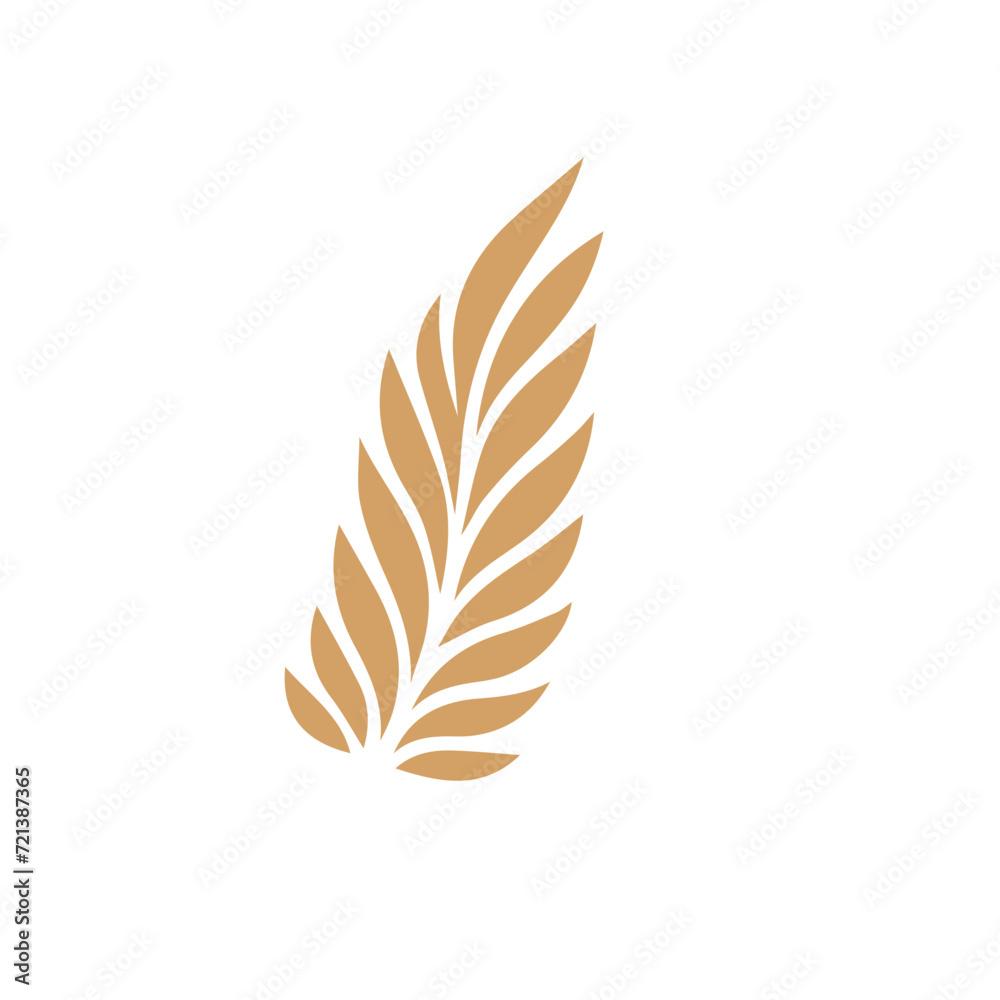 Flourish design set element vector