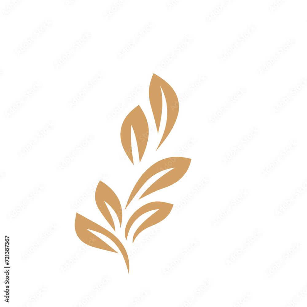 Flourish design set element vector Flourish design set element vector