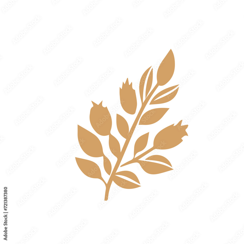 Flourish design set element vector Flourish design set element vector