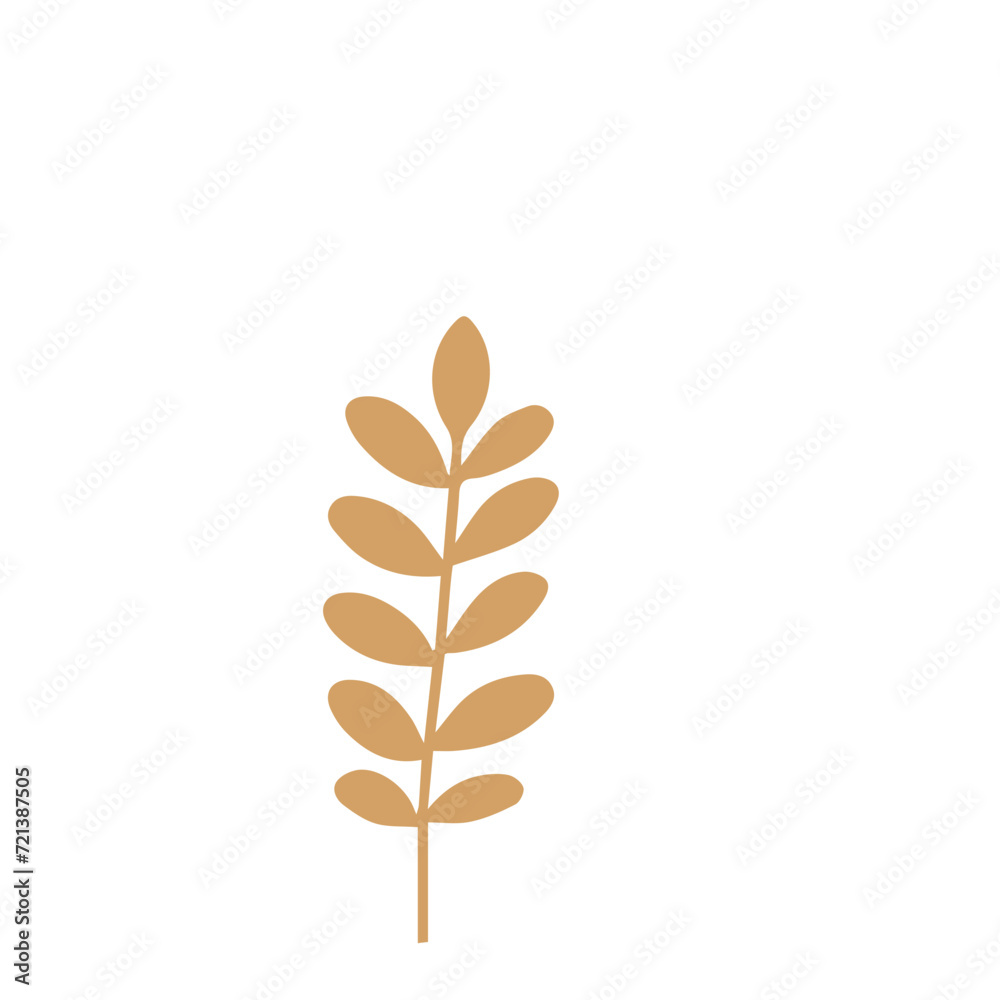 Flourish design set element vector Flourish design set element vector