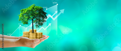 Hand holding Growing tree on coins with stock graph over Green background. Saving ecology, csr green business, business ethics, good governance, investment ideas, and business growth Concept.