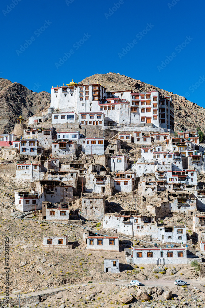 views of chemrey village in leh ladakh, india