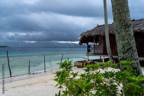 San Blas island hut with green plant in foreground and windy caribic sea photo