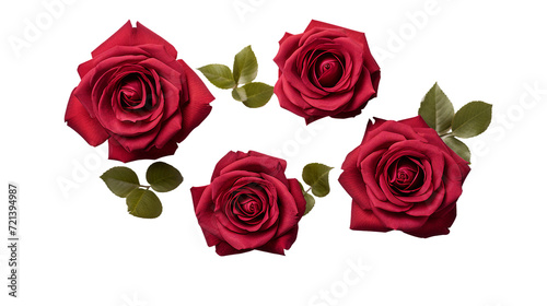 Top View Floral Beauty  Maroon Roses and Garden Elements Isolated on Transparent Background     Perfect for Digital Art and Perfume Design
