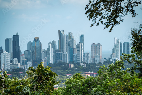 View over Panama City skyline with trees in foreground in Panama national park in horizontal view