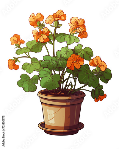 Illustration of nasturtium flower in a pot isolated on transparent background