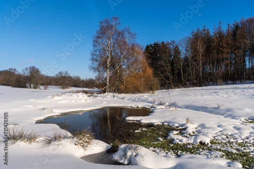 Fototapeta Naklejka Na Ścianę i Meble -  Schneebedeckte Landschaft mit Birke 2