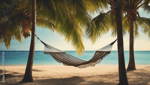 Serene Beach Hammock, a hammock strung between two palm trees on a quiet beach
