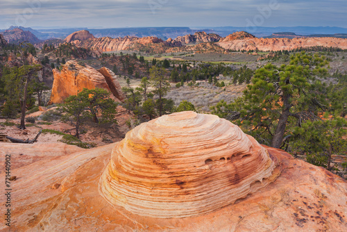 Gesteinsformationen am Lower Kolob Plateau, Zion National Park, Utah, USA photo