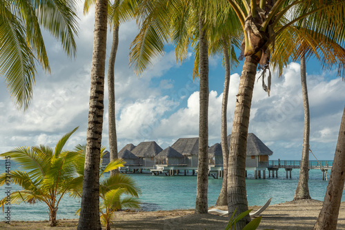 French Polynesia atoll with palm trees forest on the beach.