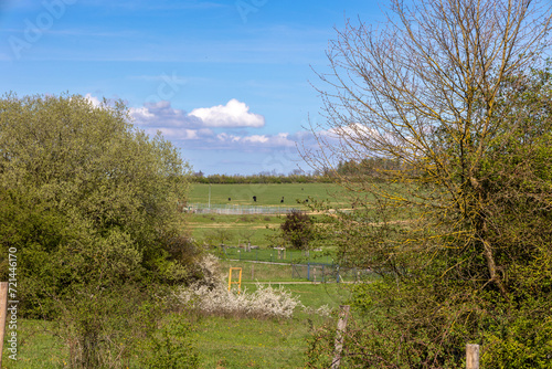 Countryside in springtime with green meadows, trees and blue sky