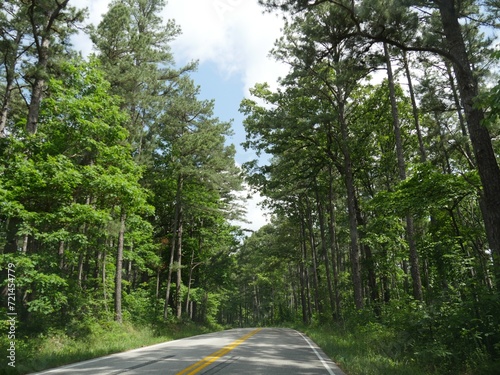 Paved road bordered by tall, lush trees in the forest at Hobbs State Park, Oklahoma.
