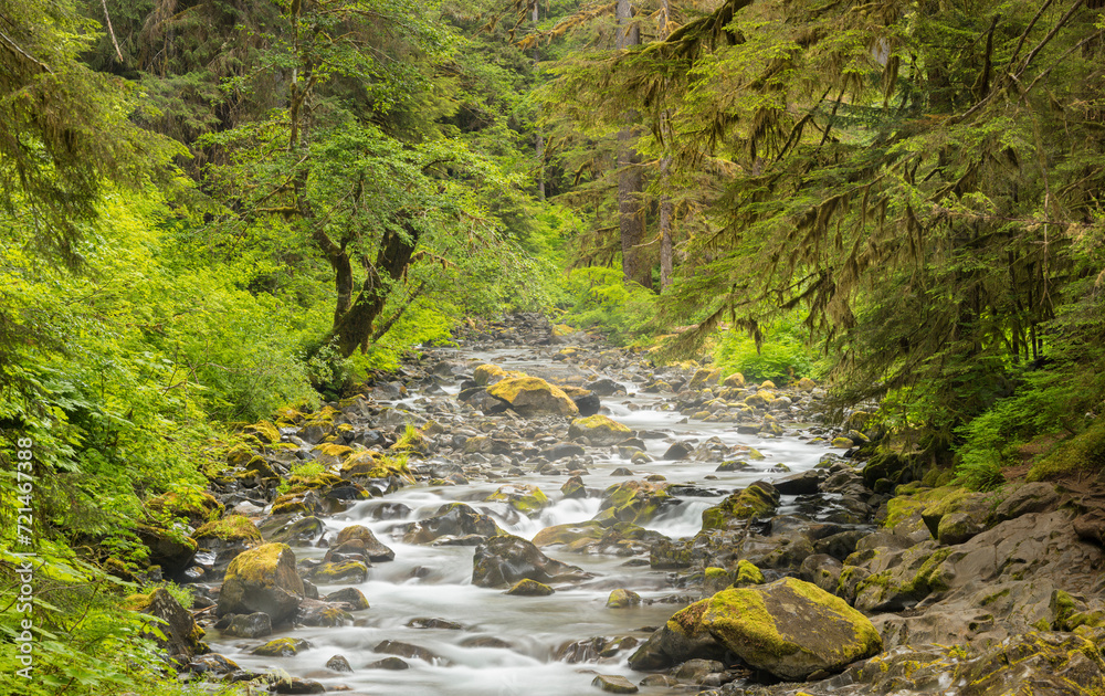 Sol Duc River, Olympic National Park, Washington, USA Sol Duc River, Olympic National Park, Washington, USA