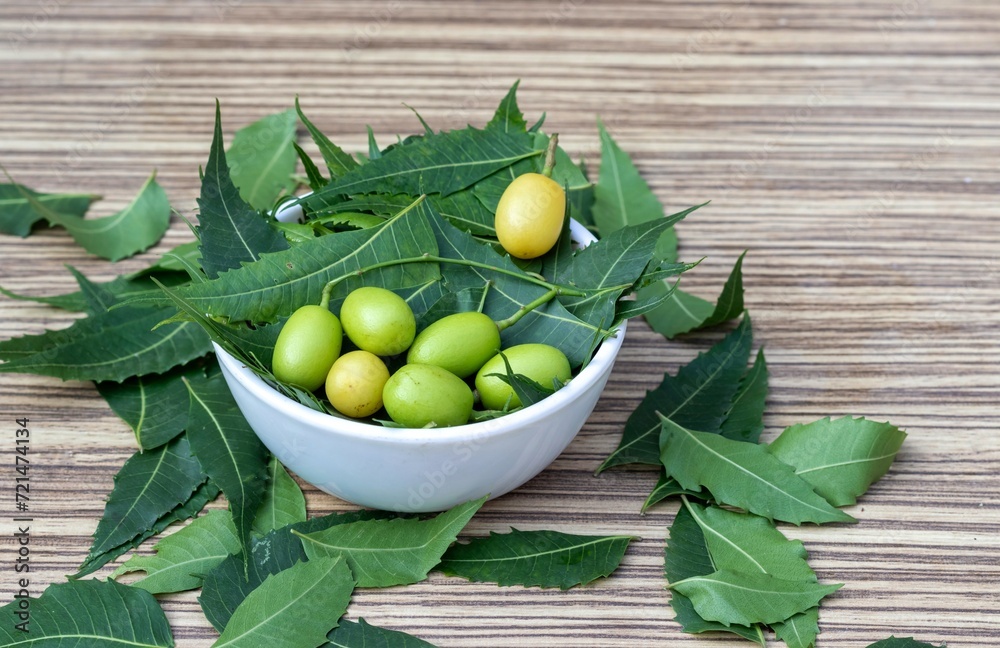 Neem Leaves or Azadirachta Indica Fruit in a Bowl with Copy Space, Also ...