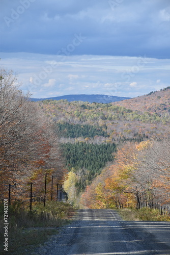 A country road in autumn, Sainte-Lucie, Québec, Canada