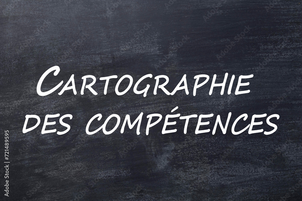 Obraz premium Cartographie des compétences tableau