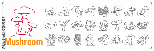Vector Mushroom line icon set, outline vector sign, linear pictogram mushroom symbol isolated on white. logo illustration