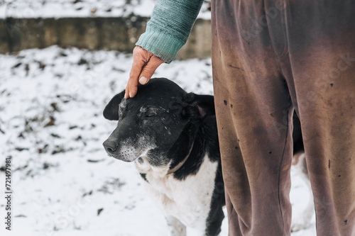 An elderly homeless man caresses his hand on the head of an old mongrel dog with scars in the snow outdoors in winter. Photograph of an animal with a person.