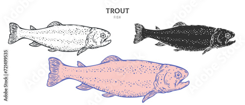 Hand drawn trout fish isolated on white background. Set cartoon element in outline, monochrome and color version. Vector illustration in retro vintage engraving style.