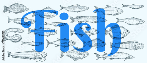 Hand draw ocean and river different fish in cartoon sketch style. Engraved retro illustration. Vintage vector background for banner, cover, menu.