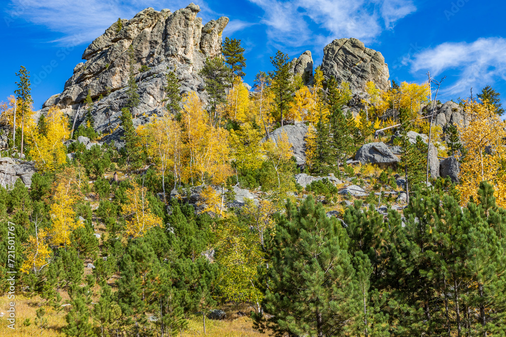 South Dakota-Custer State Park-Sylvan Lake