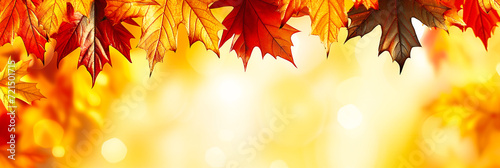 Autumnal Nature with Red Maple  Colorful Tree Leaves  Bright Sunlit Bokeh  and Seasonal Forest Background