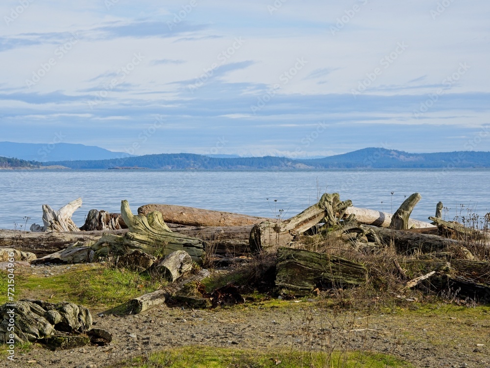 Driftwood at Island View Beach on a serene winter day, Vancouver Island, BC Canada Driftwood at Island View Beach on a serene winter day, Vancouver Island, BC Canada