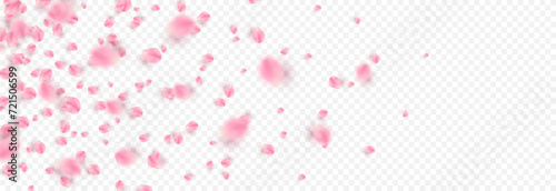 Vector rose petals png. Flying sakura or rose petals. Petals png. Fototapet