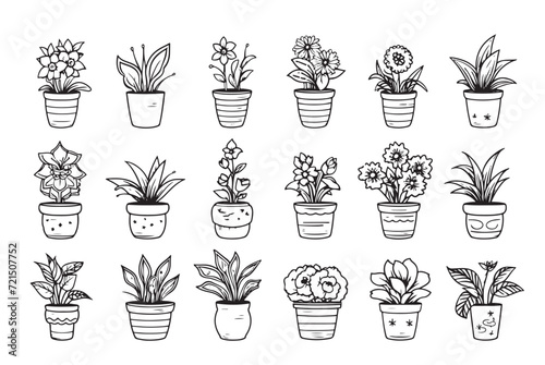 vector set of doodle houseplants and garden tools