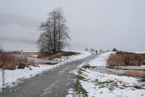 Path leading to the Pitt River Dike at Rannie Road near the Grant Narrows Regional Park in Pitt Meadows, British Columbia, Canada photo