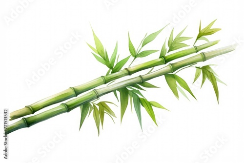 A painting depicting a bamboo plant with vibrant green leaves. This artwork can be used to add a touch of nature and tranquility to any space