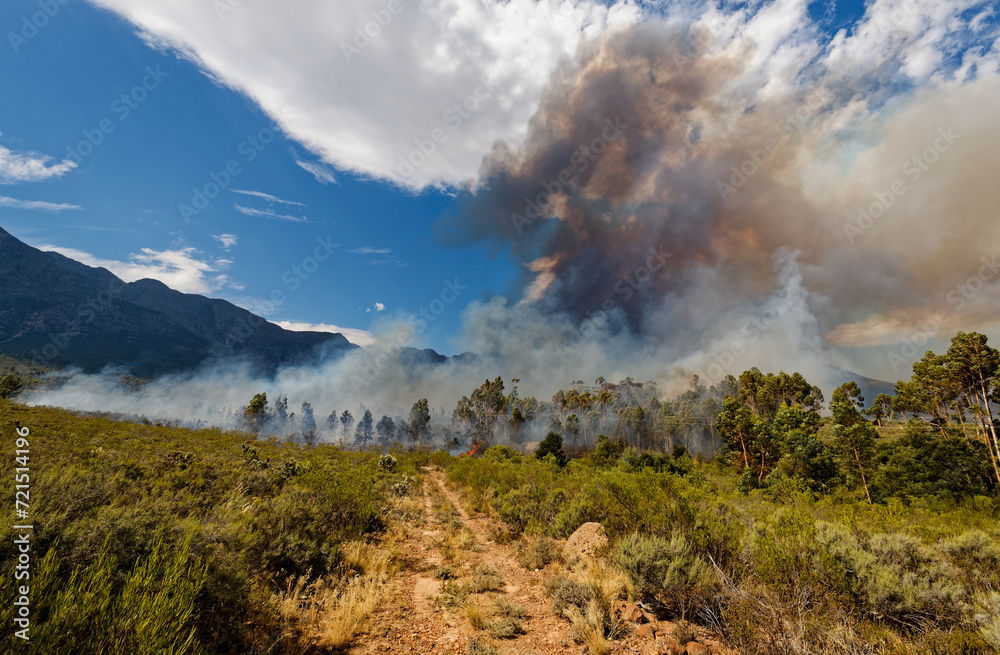 A wildfire raging across dry brush land near Worcester, Western Cape, South Africa. A wildfire raging across dry brush land near Worcester, Western Cape, South Africa.