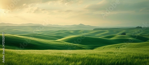 Captivating Scenery: Vast, Endless Fields Stretching across Vast, Endless Fields, Creating an Enchanting Landscape