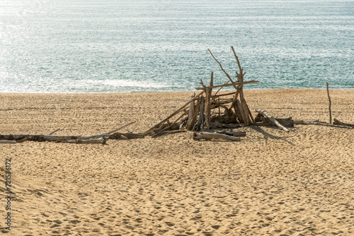 Fotografie Wooden flotsam washed up on a sandy beach in France