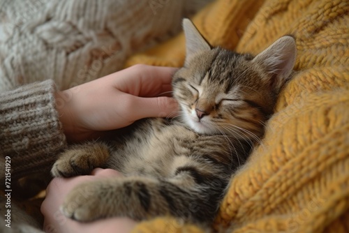 A cute tabby kitten sleeping in a cozy yellow blanket