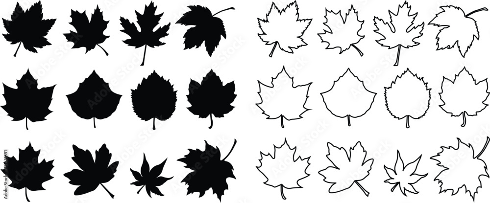 Fall leaves icon in flat, line style set. isolated on transparent background. Various fallen leaves autumn concept. Maple tree leaf. Seasonal holiday thanksgiving greeting card. vector for apps web - obrazy, fototapety, plakaty 
