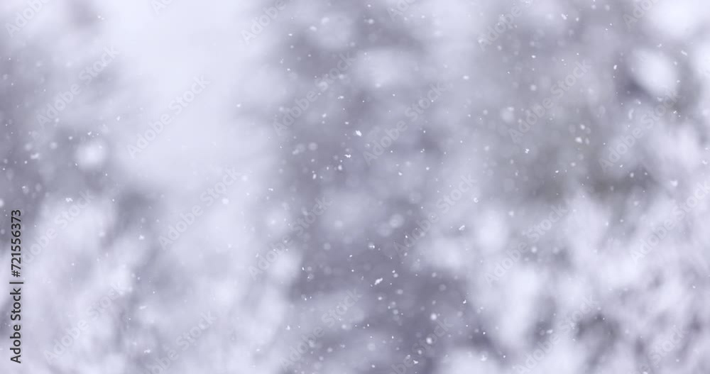 Global warming winter snowstorm environmental freezing temperatures