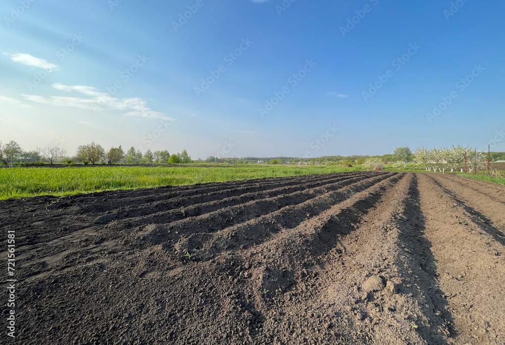 Plowed vegetable garden in spring