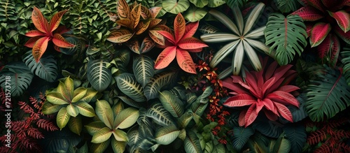 A Stunning Display of Beautiful Texture in Selective Focus on Lush Plants