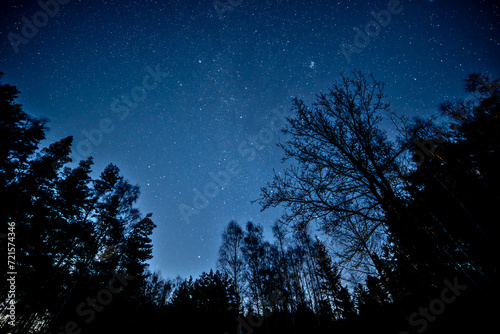 a night sky with a few stars above trees