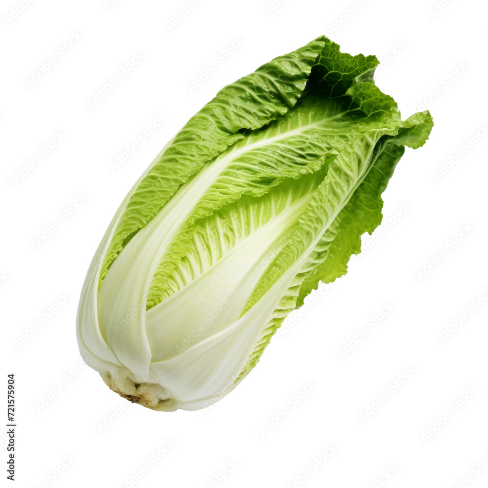 Chinese cabbage. Isolated on transparent background. Chinese cabbage. Isolated on transparent background.